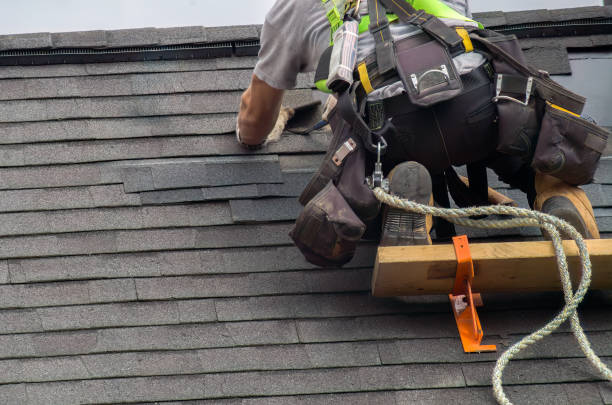 Best Roof Gutter Cleaning  in Six Mile Run, NJ
